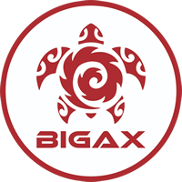 Bigax Brindes Personalizados - Brindes Corporativos